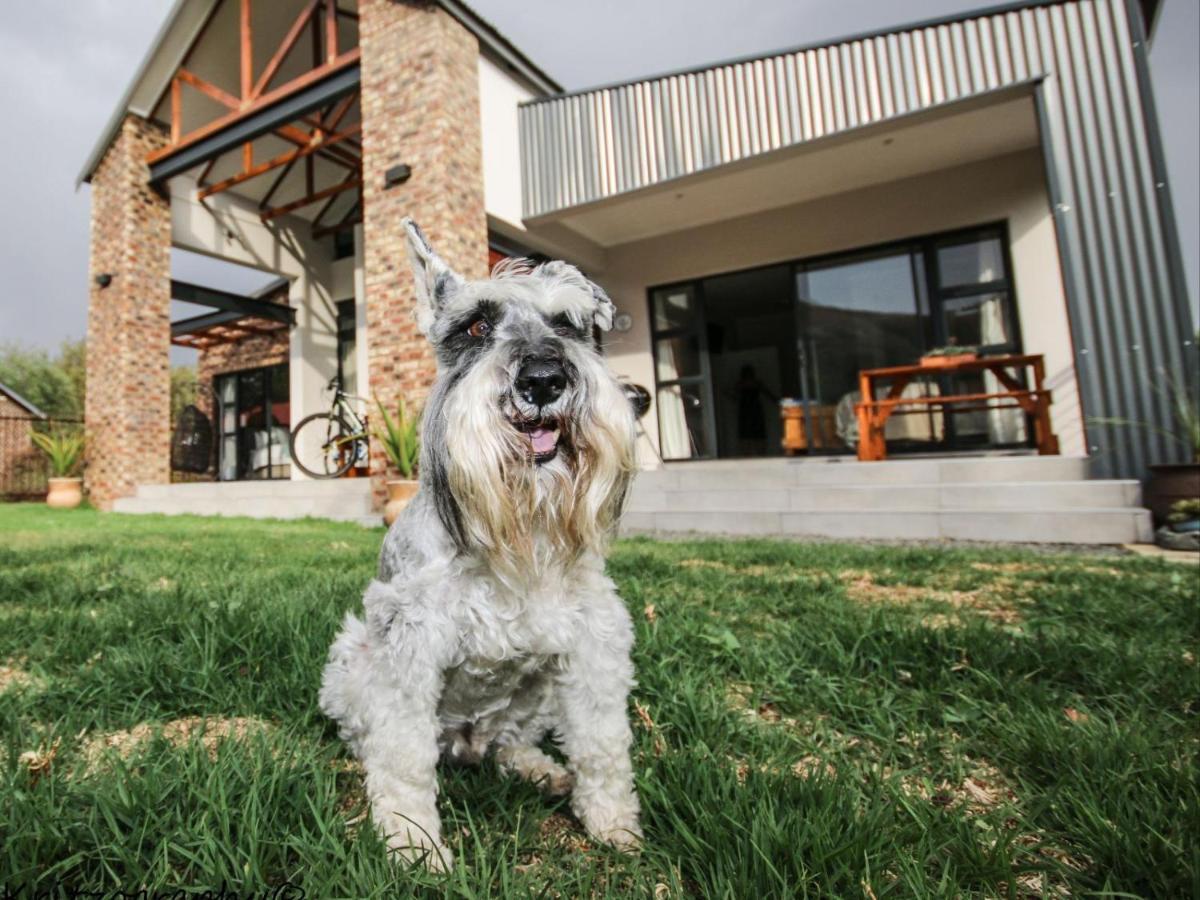 The Stoke House Apartamento Clarens Exterior foto